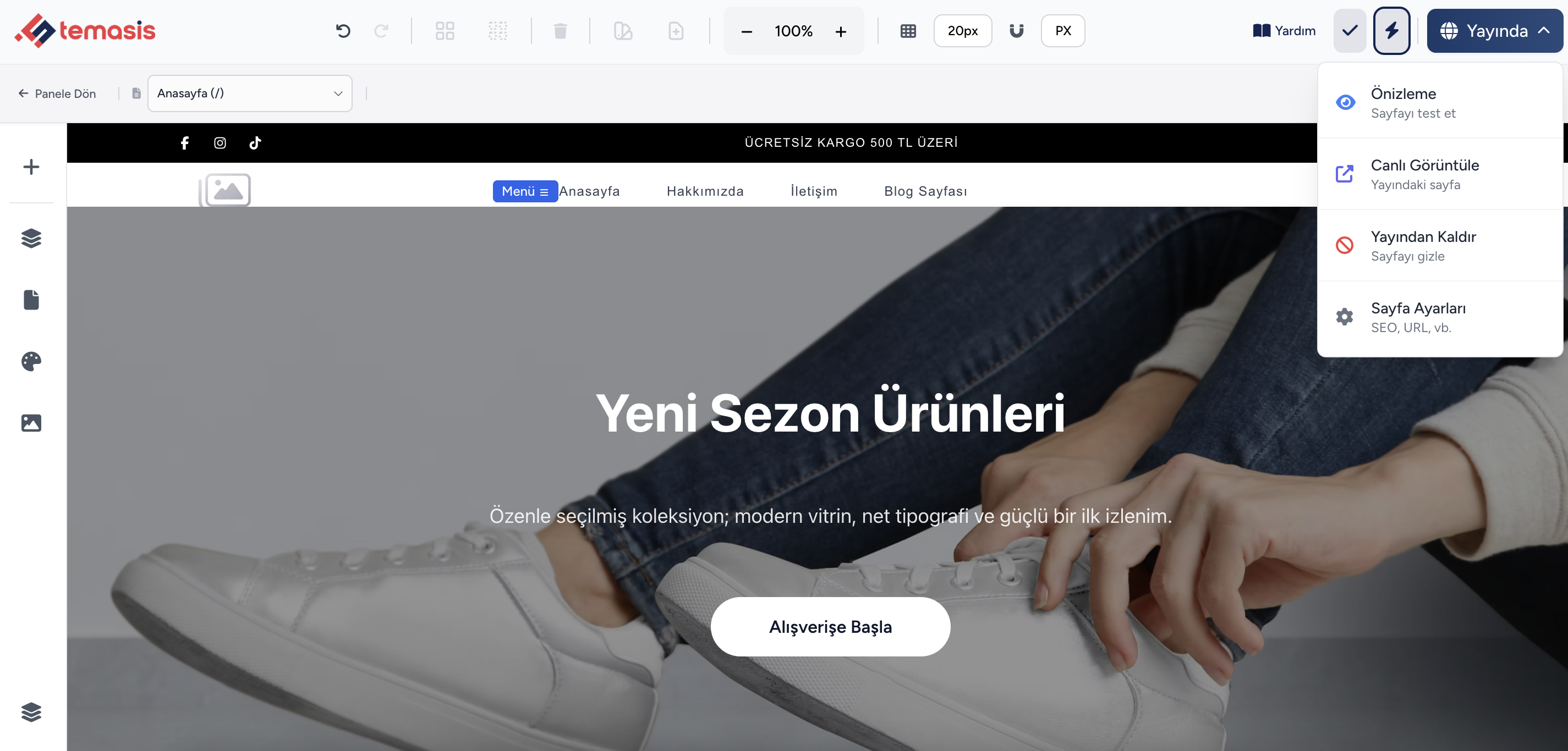 Temasis düzenleyici — adım 8: üst çubukta yayımlama menüsü açık; Önizleme, Canlı görüntüle ve sayfa ayarları.